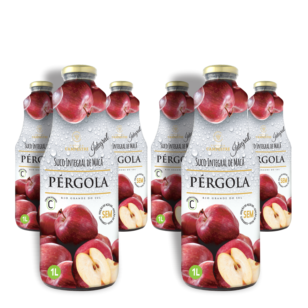 Pack Suco de Maçã Integral 1 Litro - 12 unidades