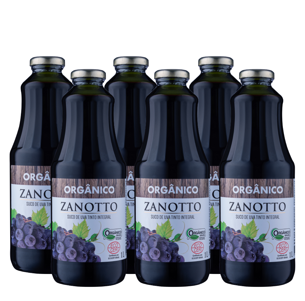 Suco de Uva Tinto Orgânico 1 Litro - Caixa com 06 unidades